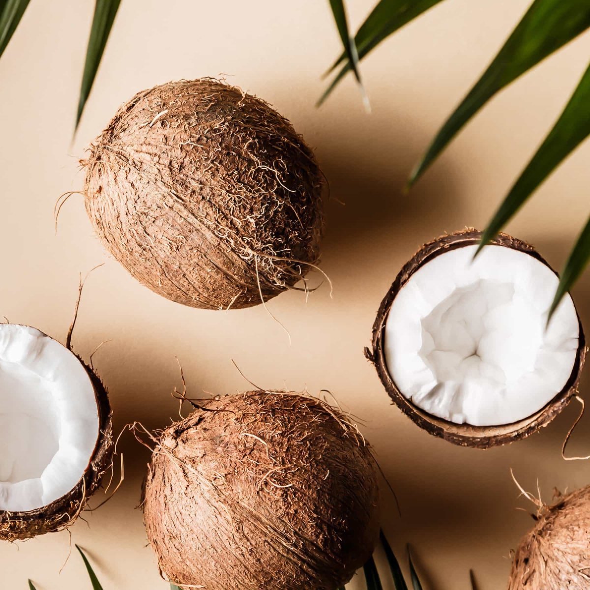Benefits Of The Coconut Oil
