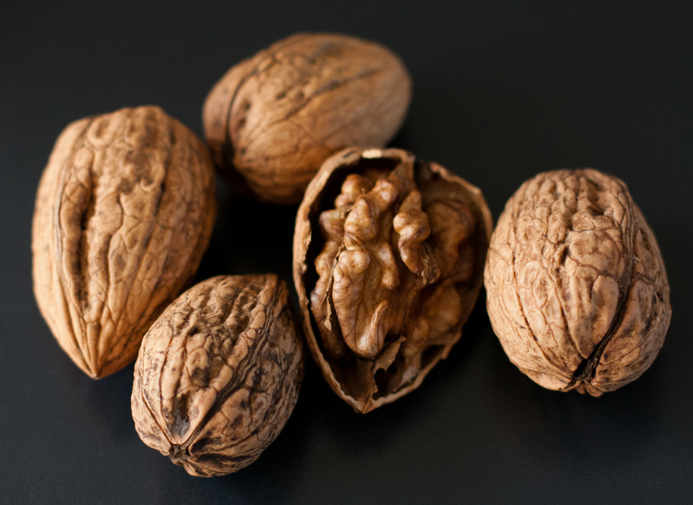 Walnuts | I'm very excited about some local walnuts I got to… | Flickr